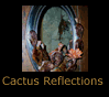 Cactus Reflections
